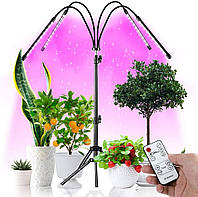 Світлодіодна фітолампа GrowLight зі штативом для вирощування кімнатних рослин Full Spectrum K[, код: 2639534