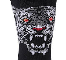 Шкарпетки для бігу унісекс Asics PERFORMANCE RUN SOCK CREW 3013A976-001, фото 5