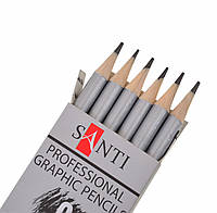 Набір чорнографітних олівців Santi Highly Pro 6 шт