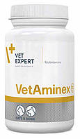 ВетаМінекс VetAminex ВетЕксперт, вітамінно-мінеральний препарат для собак та кішок, 60 капсул