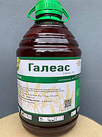 Гербіцид Галеас 5 л (Галера)