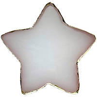 Палитра "Звезда" для смешивания красок (гель-лаков, полигелей, гелей, хны) и разных текстур 383 (10х10см) Молочный