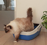 Туалет з подвійним піддоном Birba Ferplast (Ферпласт), 55,5*43,5*h 20,5 см, фото 5