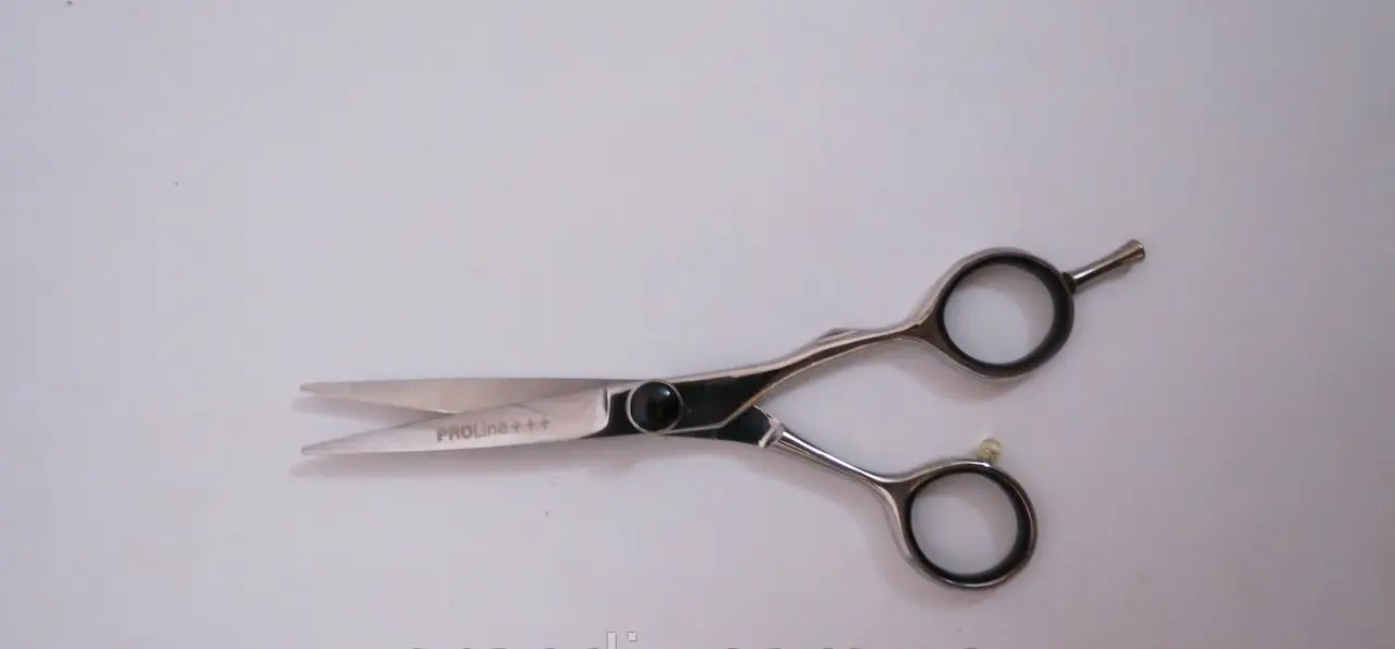 Ножиці для стрижки PROline 5.5" прямі (CK12 5.5"), фото 1