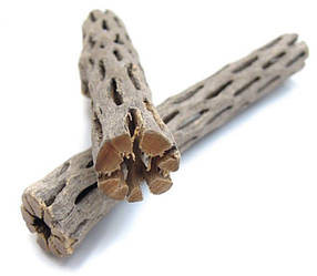 Декорація AQUAXER, трубка з кактуса Cholla 15 см, 1.5-2 см.