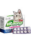 Віталвейс-Біо (БАД) для котів табл. No100 блістер із пробіотиком