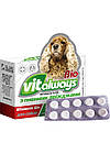 Віталвейс-Біо для собак табл. No100 блістер із пивними дріжджами
