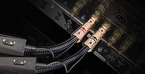 Аудіокабель аналоговий AudioQuest Thunderbird 0.5 m RCA, фото 4