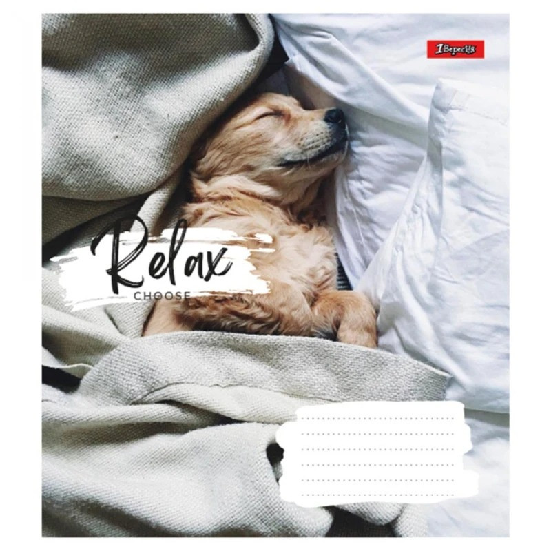 Зошит шкільний в клітинку 36 аркушів 1Вересня, Relax choose (5 видів)