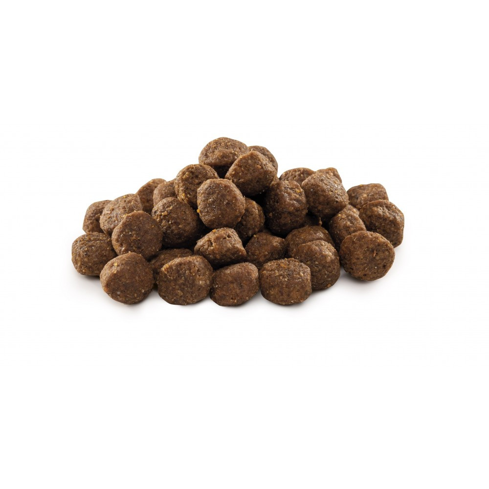 Сухий корм Brit Premium Dog Junior M НА ВАГУ для цуценят та юніорів середніх порід з куркою (ціна за 1кг)