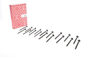 Болти ГБЦ Ford Transit 2.2TDCI Citroen Jumper 2.2HDI 06- комплект 18шт. (ELRING 733.100)