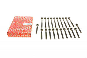 Болти ГБЦ Fiat Ducato Citroen Jumper Renault Master -02 комплект 22шт. (ELRING 760.300)