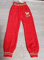 Детские утепленные спортивные штаны с начесом для девочки Лошадка 3-9 лет красные голубые малина