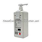 Бланідас (АХД) 2000 експрес, дезинфекція рук, шкіри та поверхонь 1000 мл, фото 2