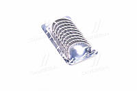 Вкладыши коренные KOLBENSCHMIDT 77874610 Ford C-Max, Focus, Fiesta, Transit; Citroen DS4, C5, C4, Spacetourer;