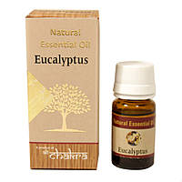 Эфирное масло "Эвкалипт" (Natural Eucalyptus Oil, Chakra), 10 мл - камфорно-лимонный запах