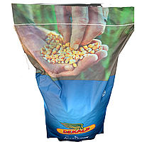 DEKALB ДКС 4590 (Акселерон Еліт) NW Насіння кукурудзи