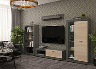 Современная модульная стенка для гостиной, мебель в гостиную зал Дана ТВ1 ЕНШВ