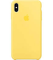 Чохол Silicone Case для iPhone X / Xs Chirp / Yellow 4 - закритий низ