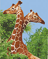 Картина по номерам. Art Craft "Пара жирафов" 40х50 см 11613-AC un