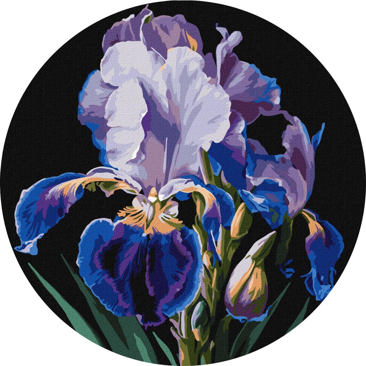 Картина за номерами d33см. Ніжні іриси ©art_selena_ua Ідейка КНОR1021