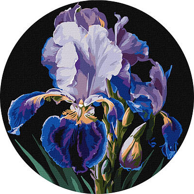 Картина за номерами d33см. Ніжні іриси ©art_selena_ua Ідейка КНОR1021