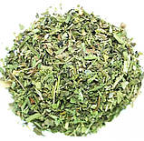 Чай Мате етнічний м'ята і цетрон зелений 250 г, фото 6
