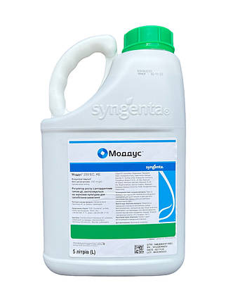 Регулятор росту Моддус Syngenta - 5 л, фото 1