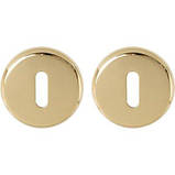 Накладка Colombo CD 1063 прор HPS Mach, Robot, фото 2