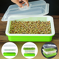 Контейнер для микрозелени с крышкой, 34x25x7,5см (Лоток для выращивания микрозелени и бэби-культур)