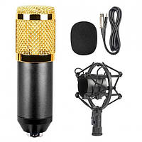 Студійний конденсаторний мікрофон DM-800 зі стійким та вітрозахистом Black/Gold sl