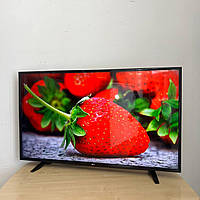 Телевизор LG49LH10V Full HD