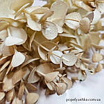 Гілочка пластикова евкаліпта 22 см, фото 3