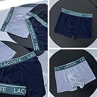 Набор трусов в подарочной упаковке с принтом ( Lacoste ) 3 штуки Размеры M/L/XL/XXL Трусы мужские