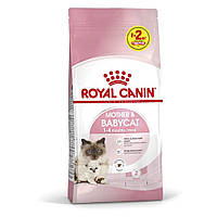 АКЦИЯ Royal Canin Motherbabycat сухой корм для котят и кошек в период лактации 8+2 кг