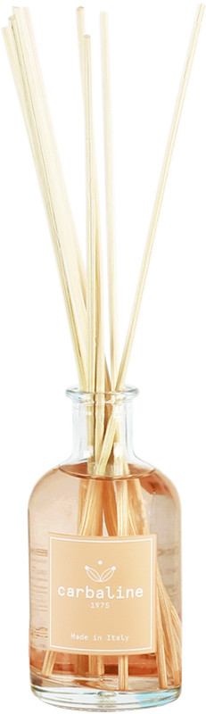 Аромадиффузор Cuoio Toscano Carbaline, 100 мл, фото 1