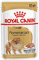 Royal Canin Adult Pomeranian паштет, 1 шт