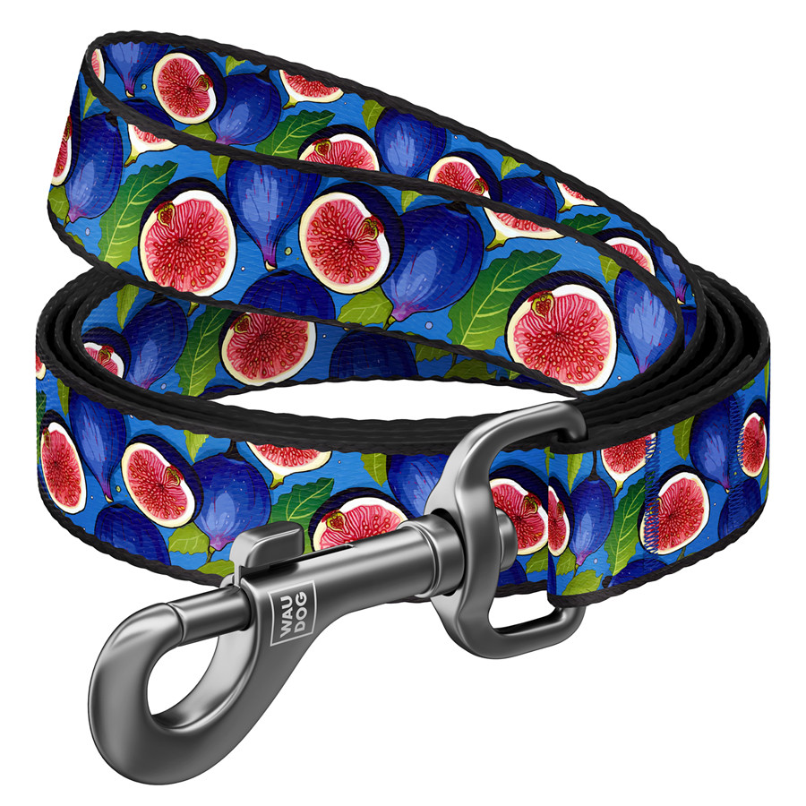 Повідець для собак нейлоновий WAUDOG Nylon, малюнок "Інжир", М, Ш 20 мм, Д 122 см, фото 1