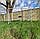 Переносні футбольні ворота тренувальні 240x170x85см (Польща), фото 8