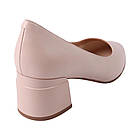 Туфлі жіночі Lady Marcia пудррові натуральна шкіра, 39, фото 4