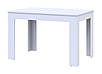 Стіл обідній "Флінт" 170х80х78 см. Білий, фото 5