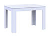 Стіл обідній "Флінт" 170х80х78 см. Білий, фото 4