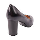 Туфлі жіночі Lady Marcia чорні натуральна кожа, 40, фото 4