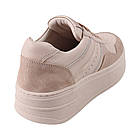 Кеди жіночі Tucino капучіно натуральна шкіра, 39, фото 4