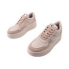 Кеди жіночі Tucino капучіно натуральна шкіра, 39, фото 5