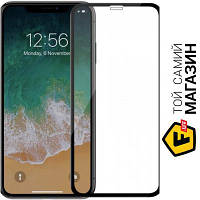 Защитное стекло PowerPlant для Apple iPhone XS Max