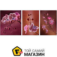 Miniart Crafts Триптих Розовые Орхидеи (11006)