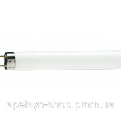 Лампочка Philips TL-D G13 600mm 18W/54-765 1SL/25 928047305451 i - фото 1 - id-p2197131727