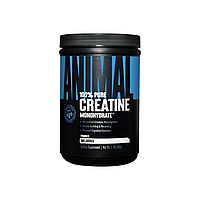 Universal Creatine Powder 500g