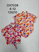 Сорочки для дівчаток оптом, S&D, розміри 4-12 років, арт.CH-7038